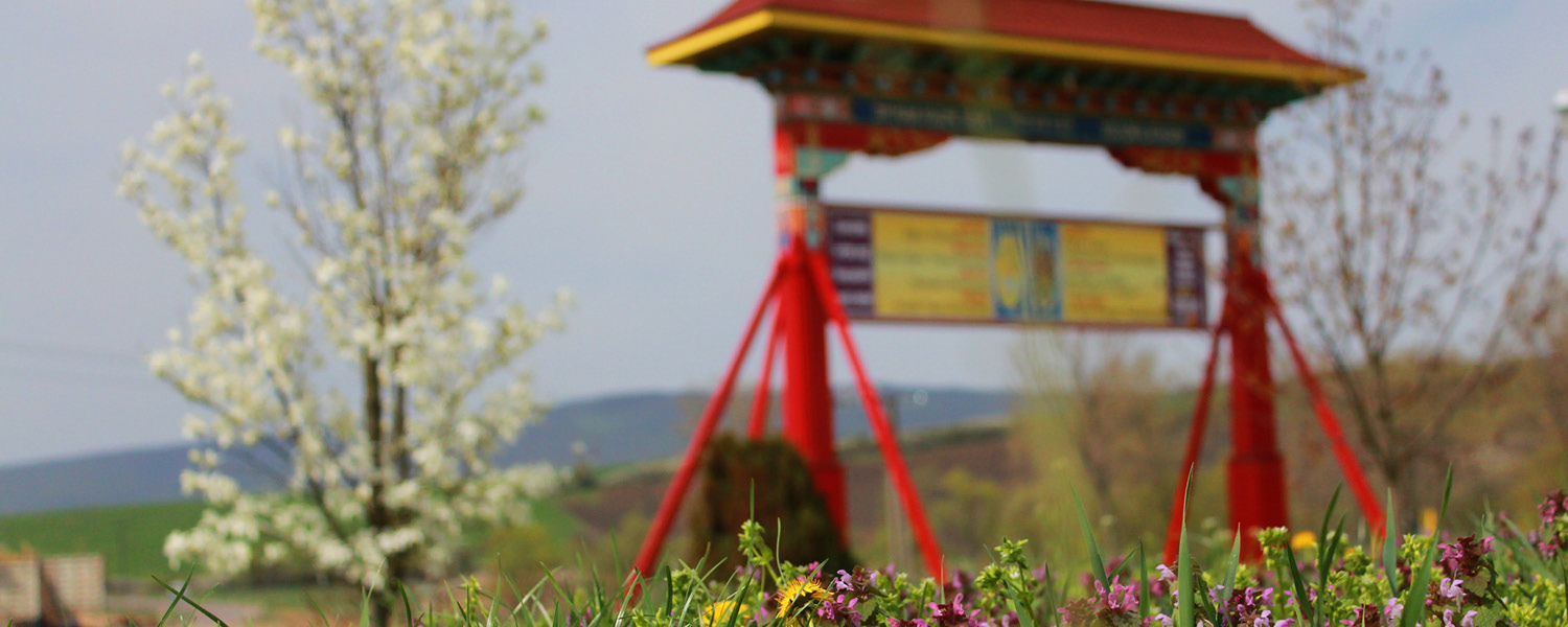 Tavaszi szangha-hétvége Taron @ Tar - Buddha Park